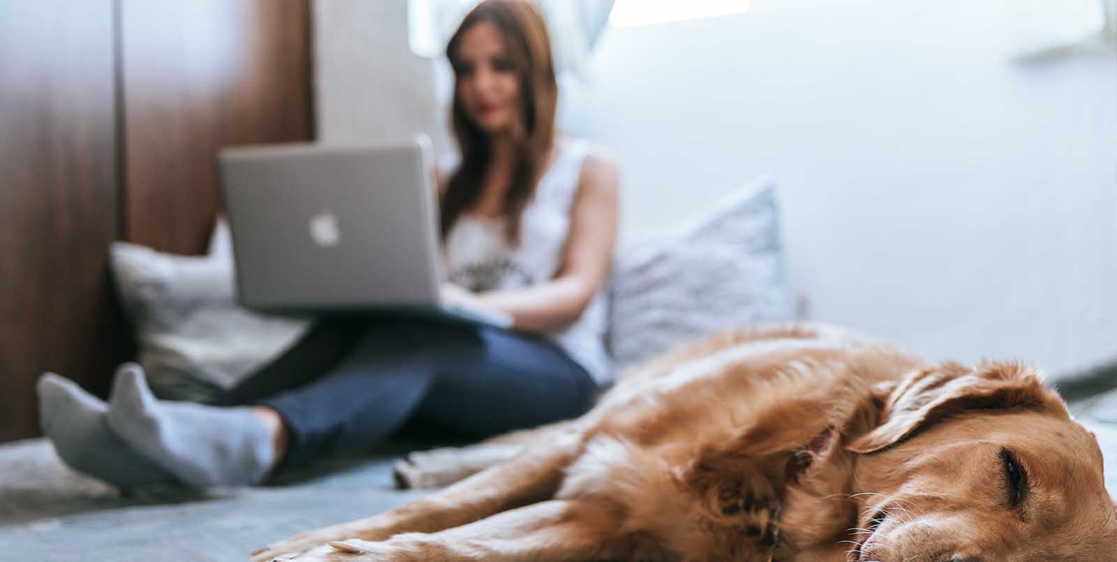 19 Legitimate Work From Home Job Boards You Need To Look At Now (2021