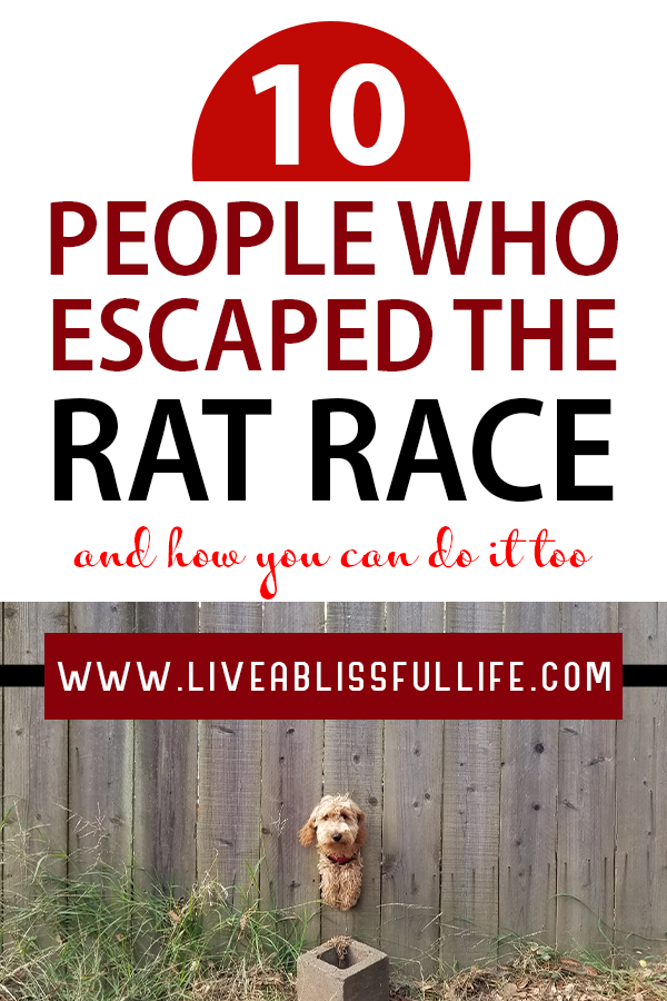 Image: an escaping dog
Text: 10 people who escaped the rat race and how you can do it too